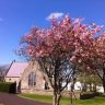 Holy Trinity, Dunfanaghy